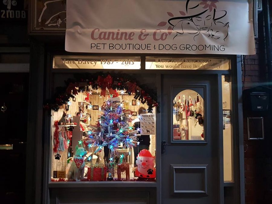 armley canine and co